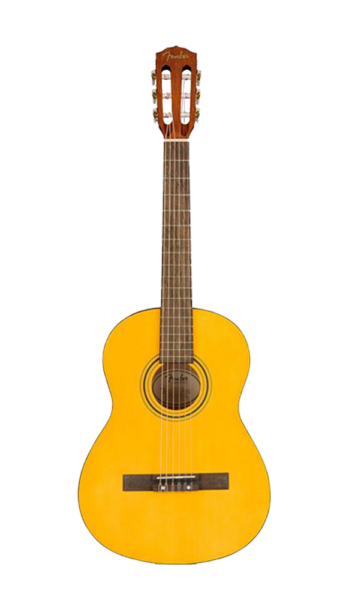 Acoustic guitar rental