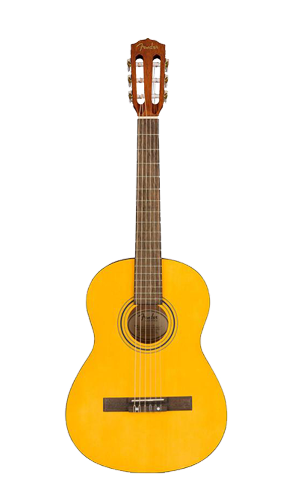 Acoustic guitar rental